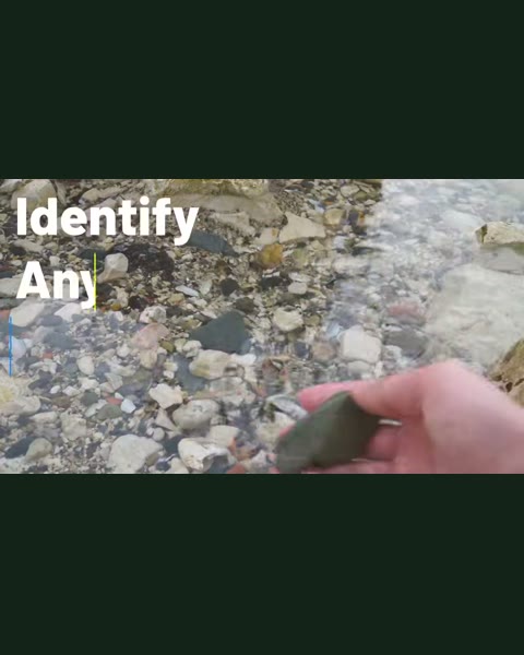 Rock Identifier ad reference